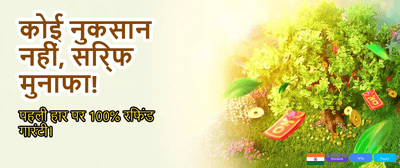 Win Big with Cricway Bet
